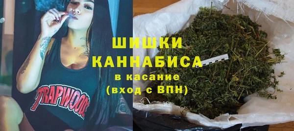ПСИЛОЦИБИНОВЫЕ ГРИБЫ Осташков