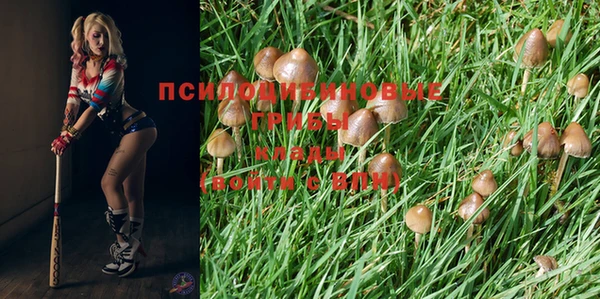 эйфоретик Карабаново