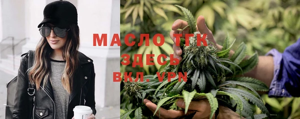 mix Пересвет