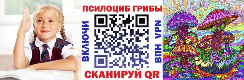 Псилоцибиновые грибы мицелий купить наркотики сайты Любим